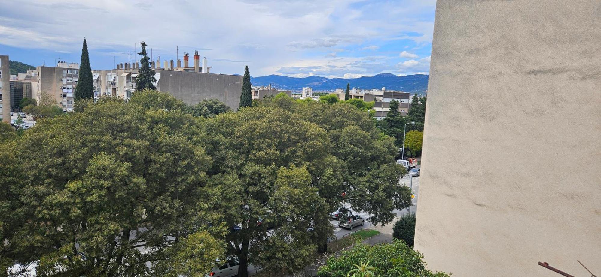 Gala * Split